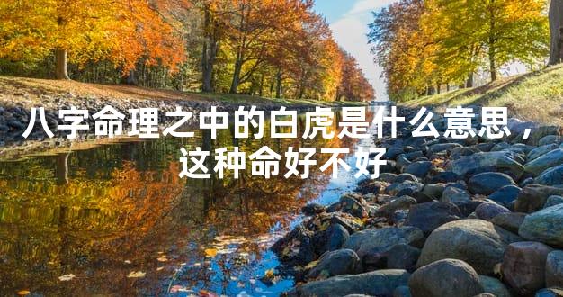 八字命理之中的白虎是什么意思,这种命好不好